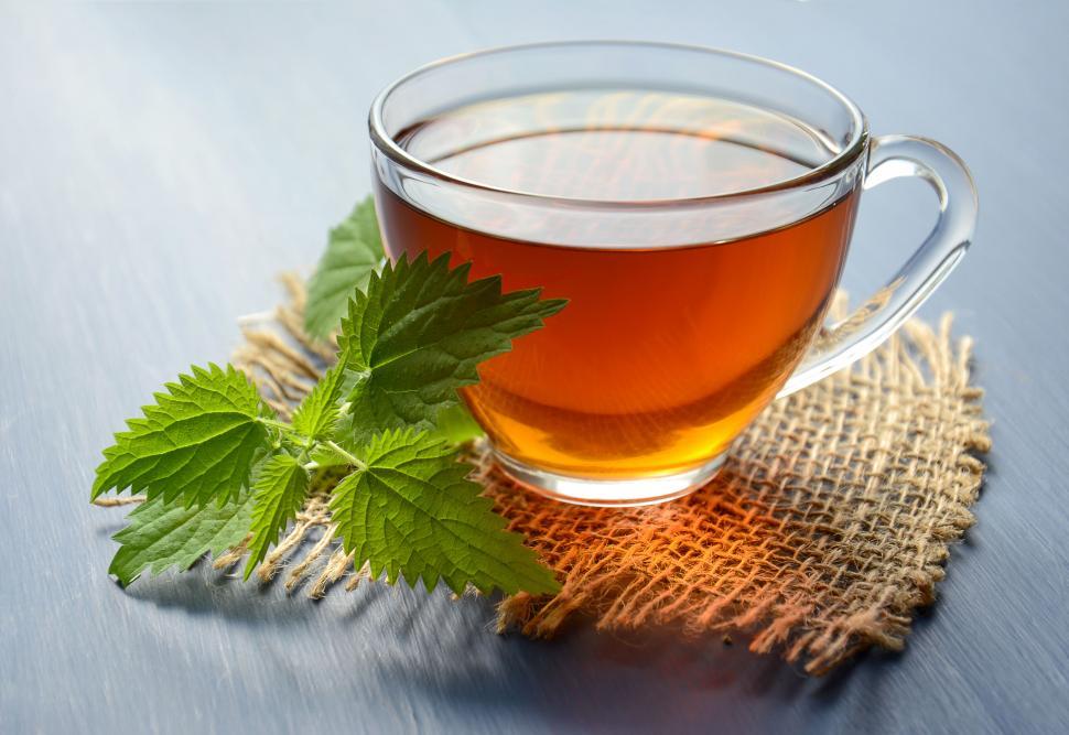 Free Image of Hot herbal tea in a clear glass cup with nettle leaves 