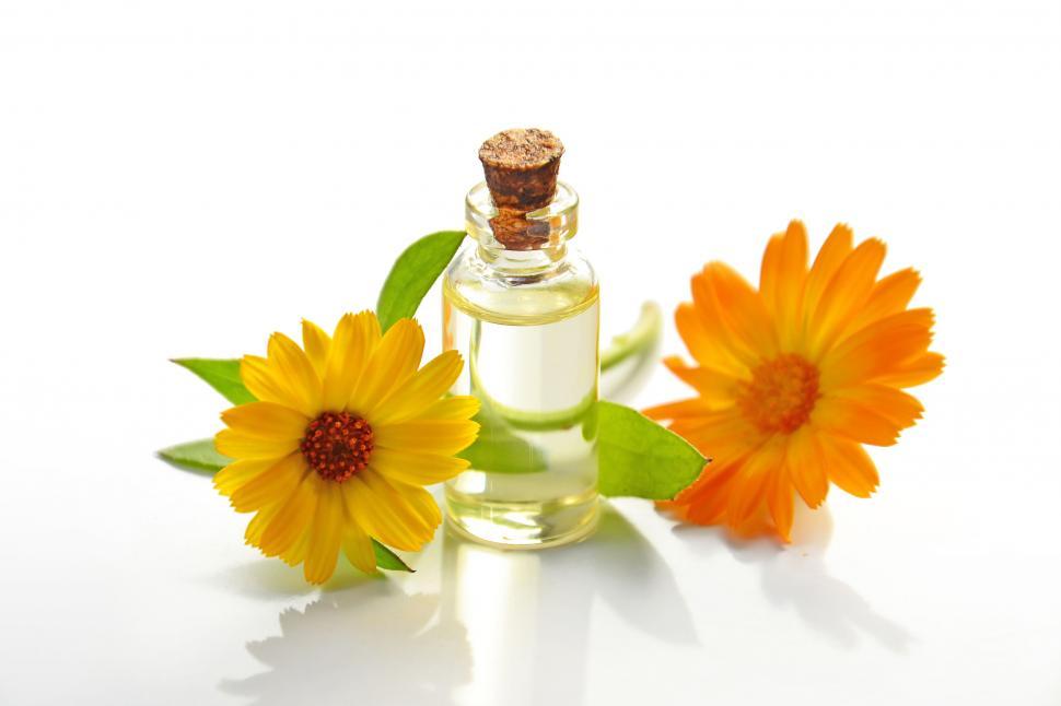 Free Image of Calendula essential oil in a bottle with flowers 