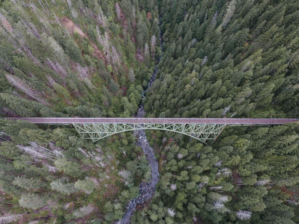 Free Image of Aerial Shot of Bridge Over Forested Valley 