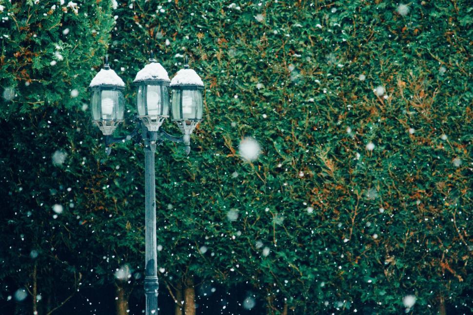 Free Image of Street lamp with snow against ivy background 