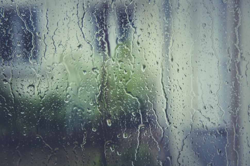 Free Image of Raindrops clinging to a window with blurred nature outside 