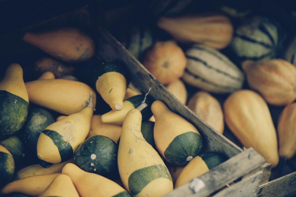 Free Image of Fresh autumn gourds in wooden crate 