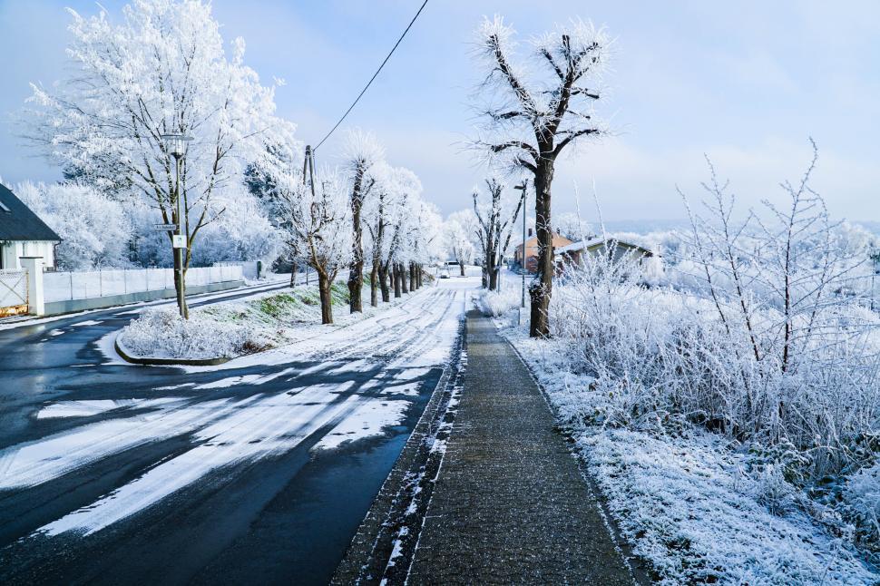 Free Image of Snowy road with frost-covered trees in winter 