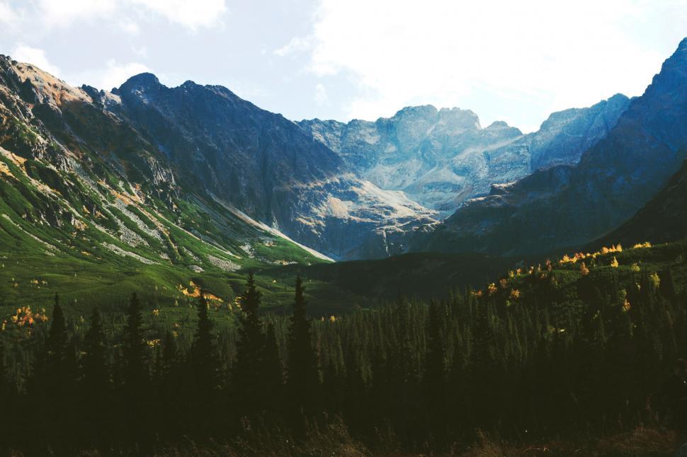 Free Image of Mountain valley with lush greenery and peaks 