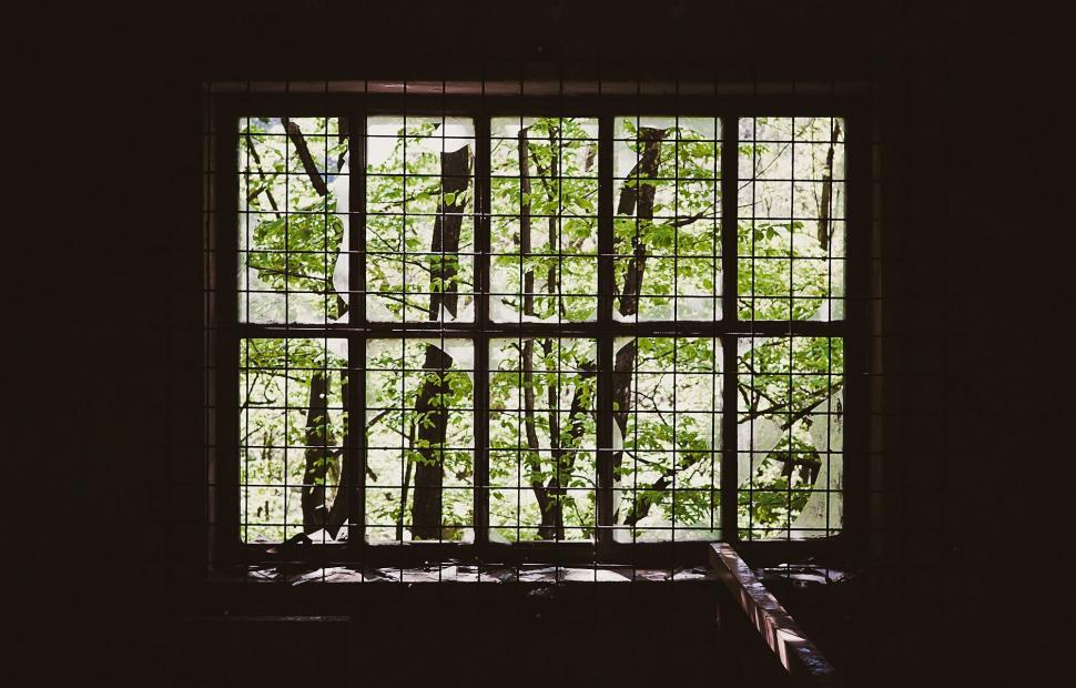 Free Image of View from a rustic window with vines 