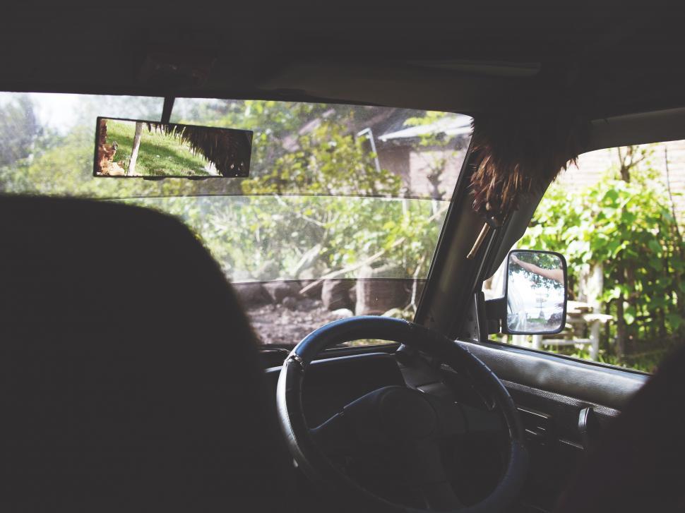 Free Image of Interior view from a car with natural landscape 