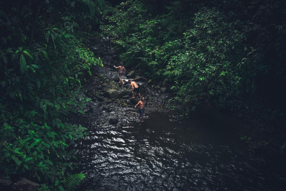 Free Image of Youth exploring lush green riverbank 