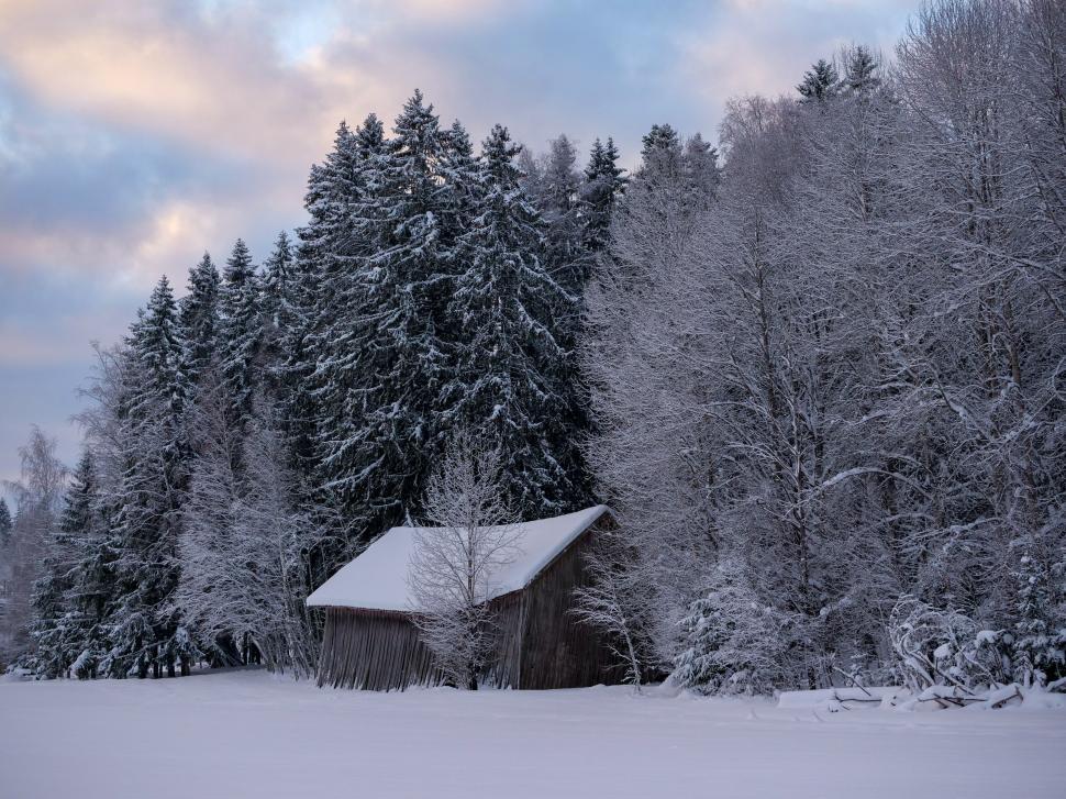 Free Image of Snow-covered cabin in a wintry forest 