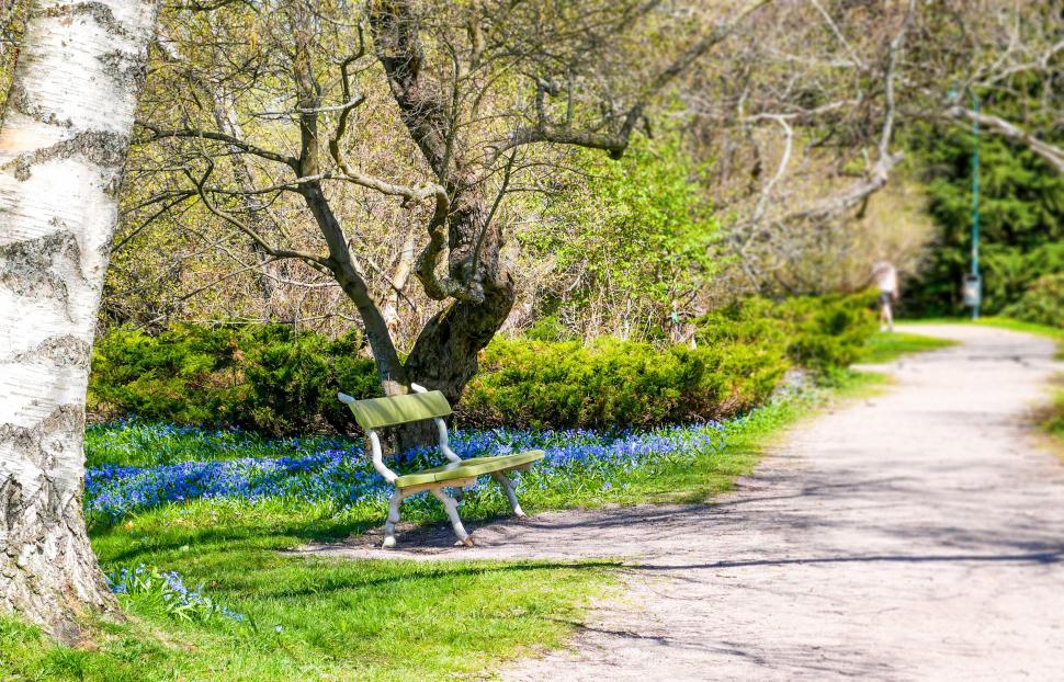 Free Image of Green park bench surrounded by blue flowers 