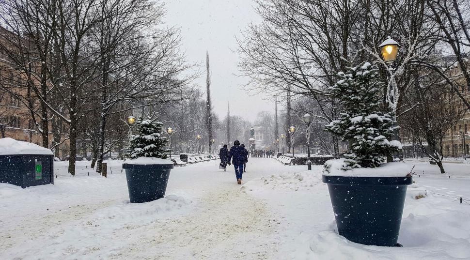 Free Image of Snowy pathway with people in a city park 