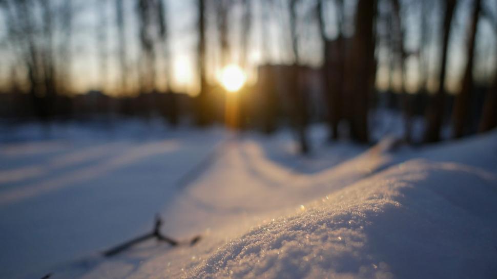 Free Image of Sunset Through the Winter Trees with Snow 