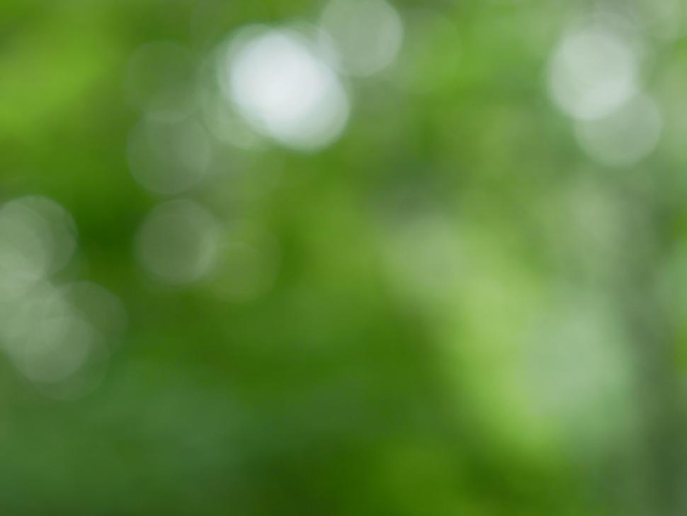 Free Image of Green bokeh background from natural sunlight 