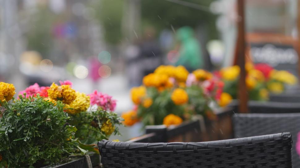 Free Image of Rainy day flower baskets lining the street 