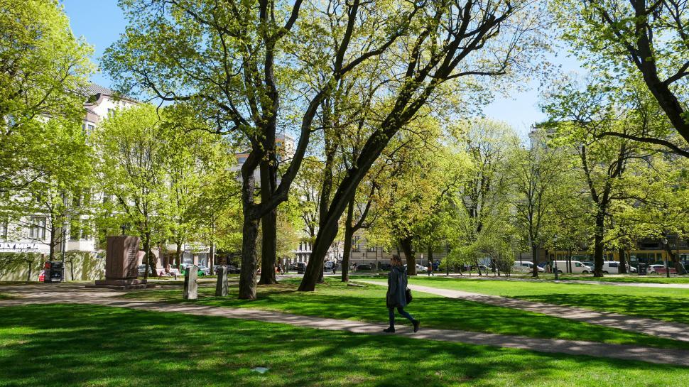 Free Image of Tranquil park scene with green trees and paths 
