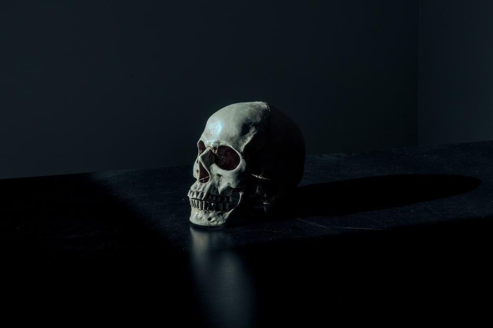 Free Image of Human skull on shadowy background 