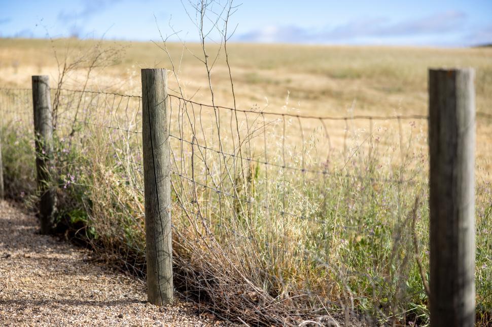 Free Image of Rustic fence along a rural countryside road 