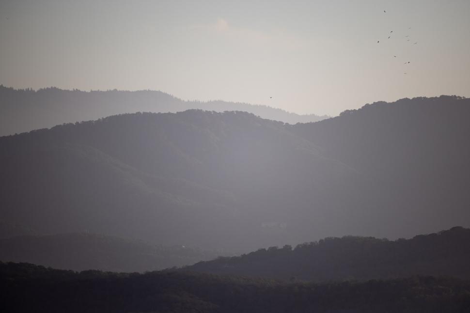 Free Image of Misty mountains with birds flying 