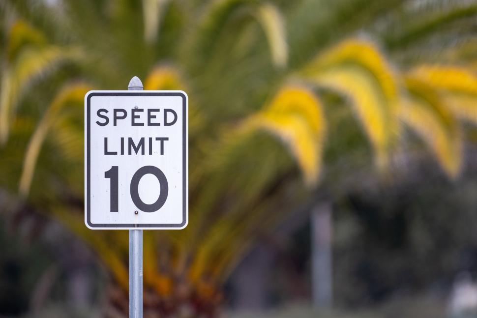 Free Image of Speed limit road sign against palm trees 