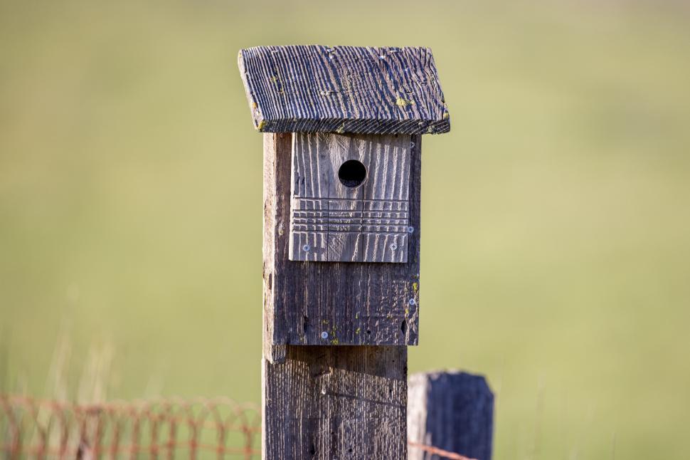 Free Image of Old wooden birdhouse on a post in field 