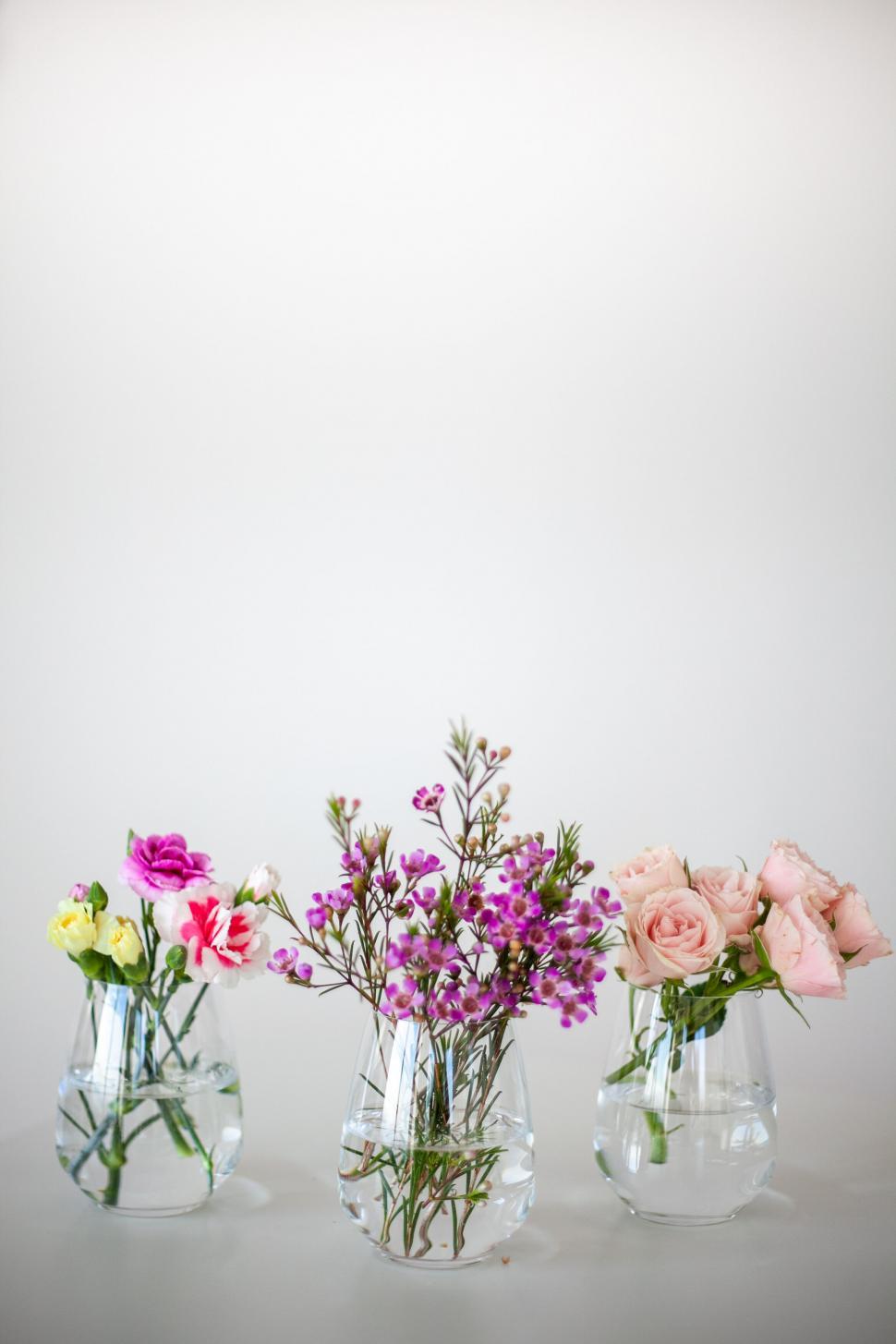 Free Image of Elegant floral arrangement on white background 