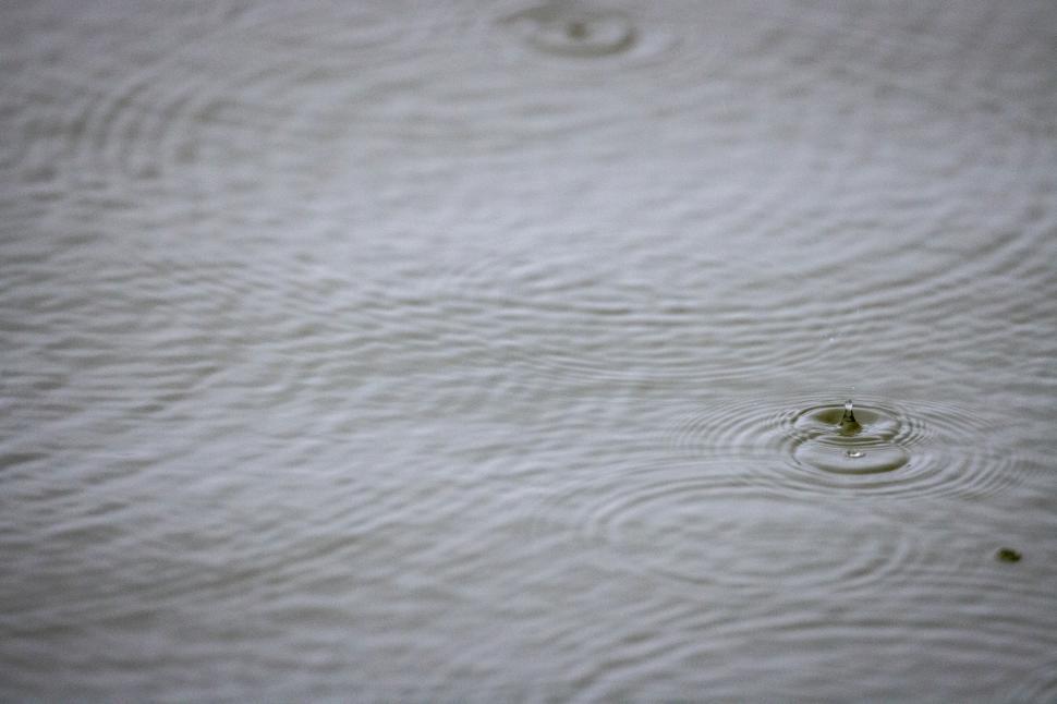 Free Image of Raindrop ripple on a calm water surface 