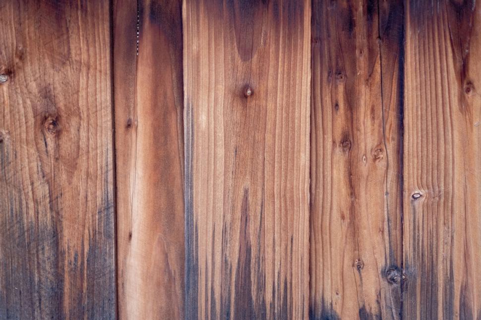 Free Image of Close-up of natural wooden texture 