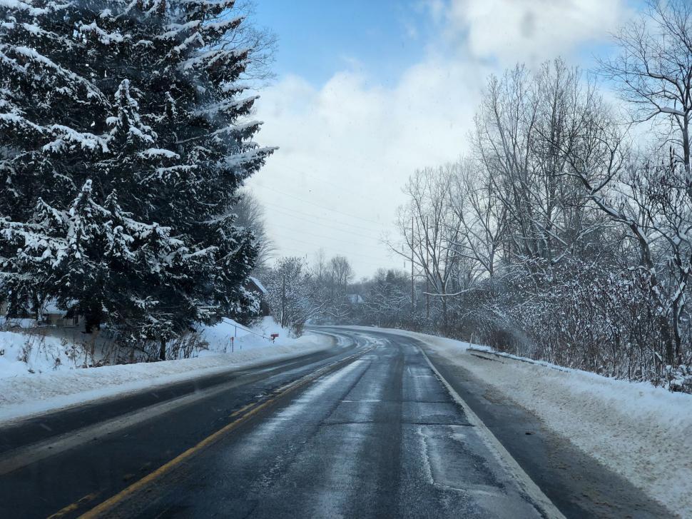 Free Image of Snowy winter road with coniferous trees 