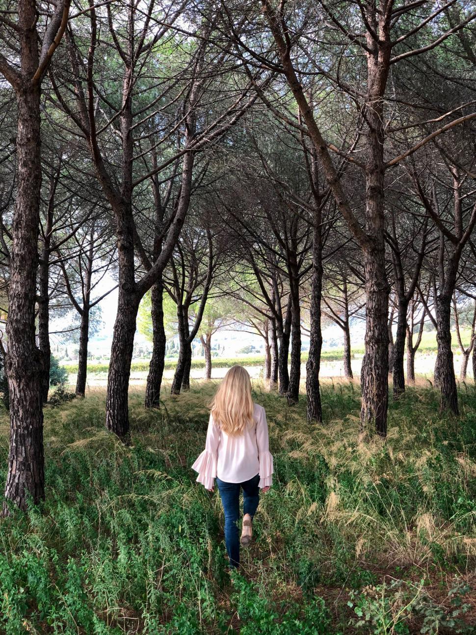 Free Image of Woman walking through a pine tree forest 