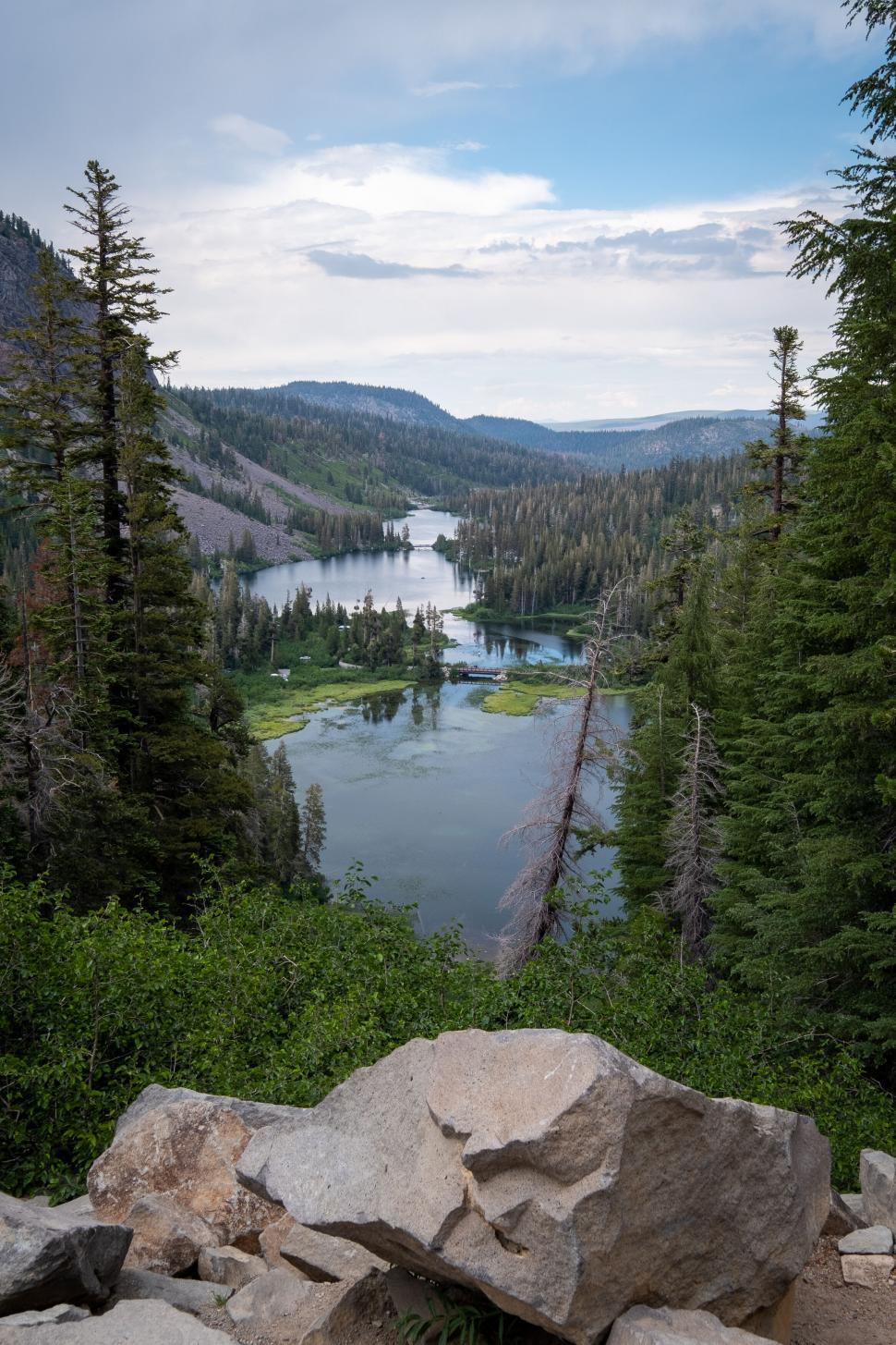 Free Image of Serene lake view surrounded by evergreen trees 