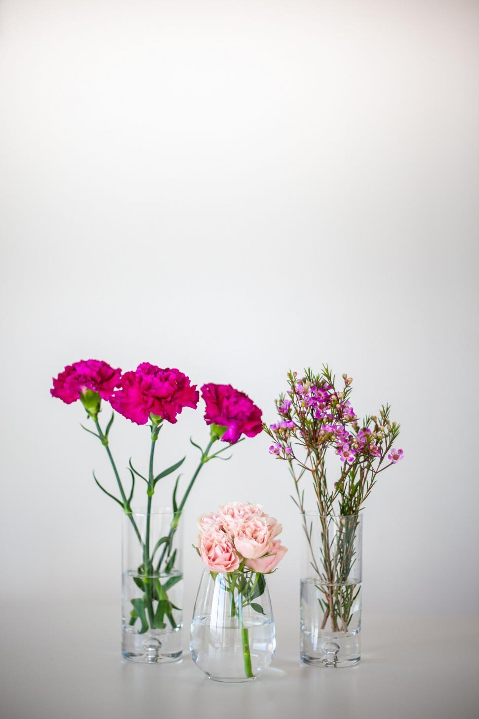 Free Image of Vases with colorful flowers on white background 