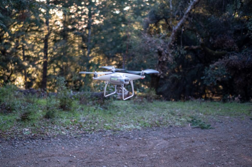 Free Image of Drone hovering in a forest environment 
