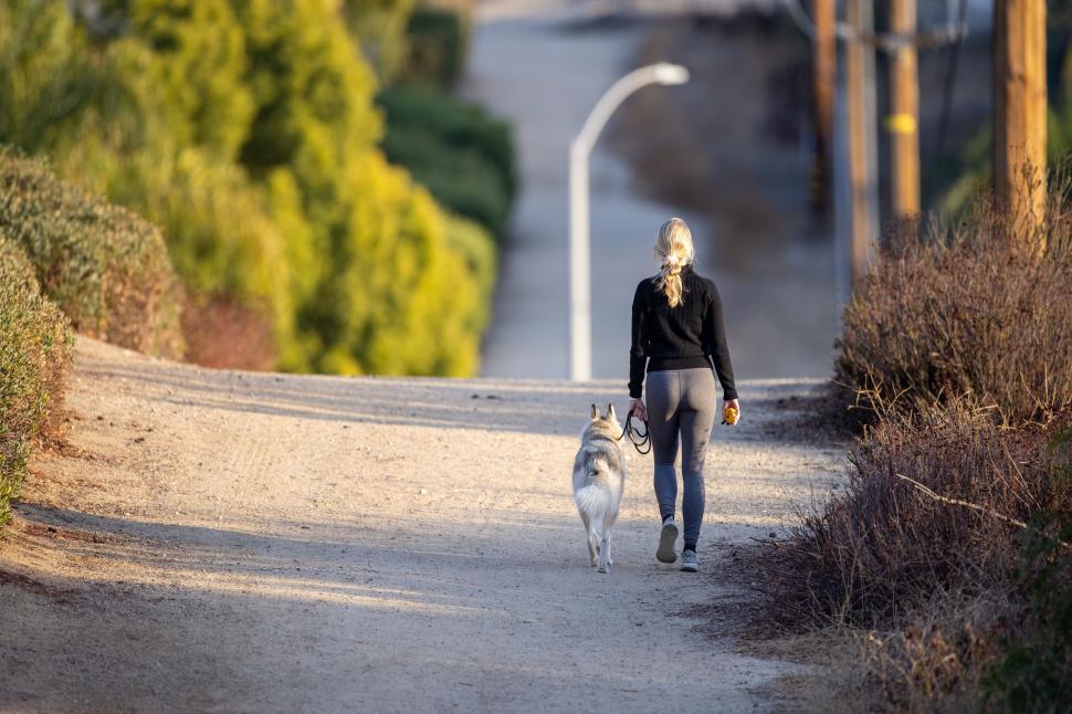 Free Image of Woman and dog walking on a trail at dusk 