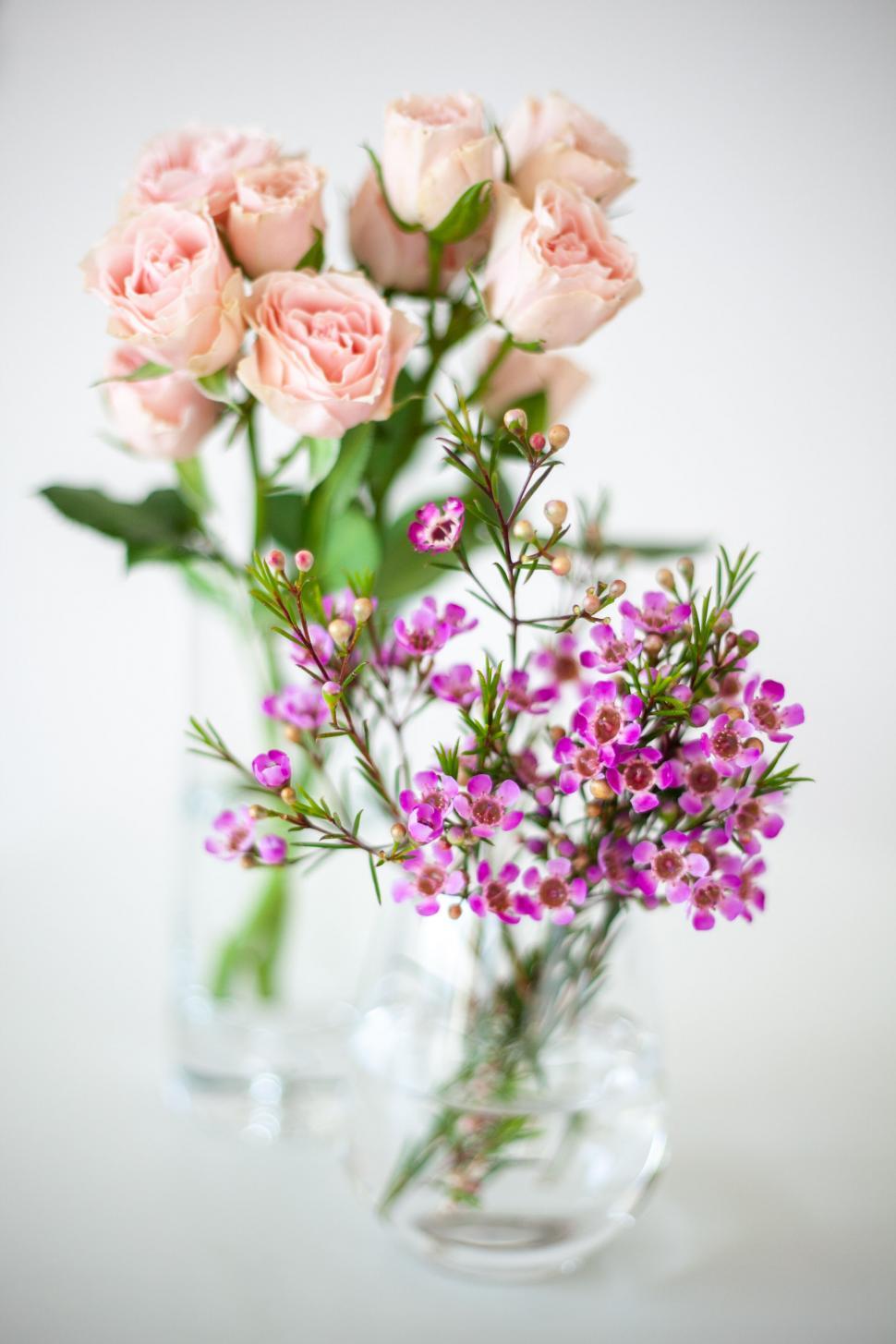 Free Image of Elegant Pink Roses in Glass Vases 