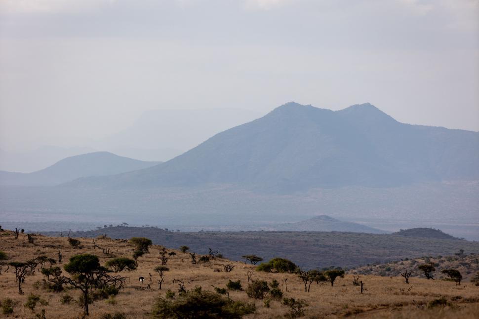 Free Image of African Landscape with Mountains and Trees 