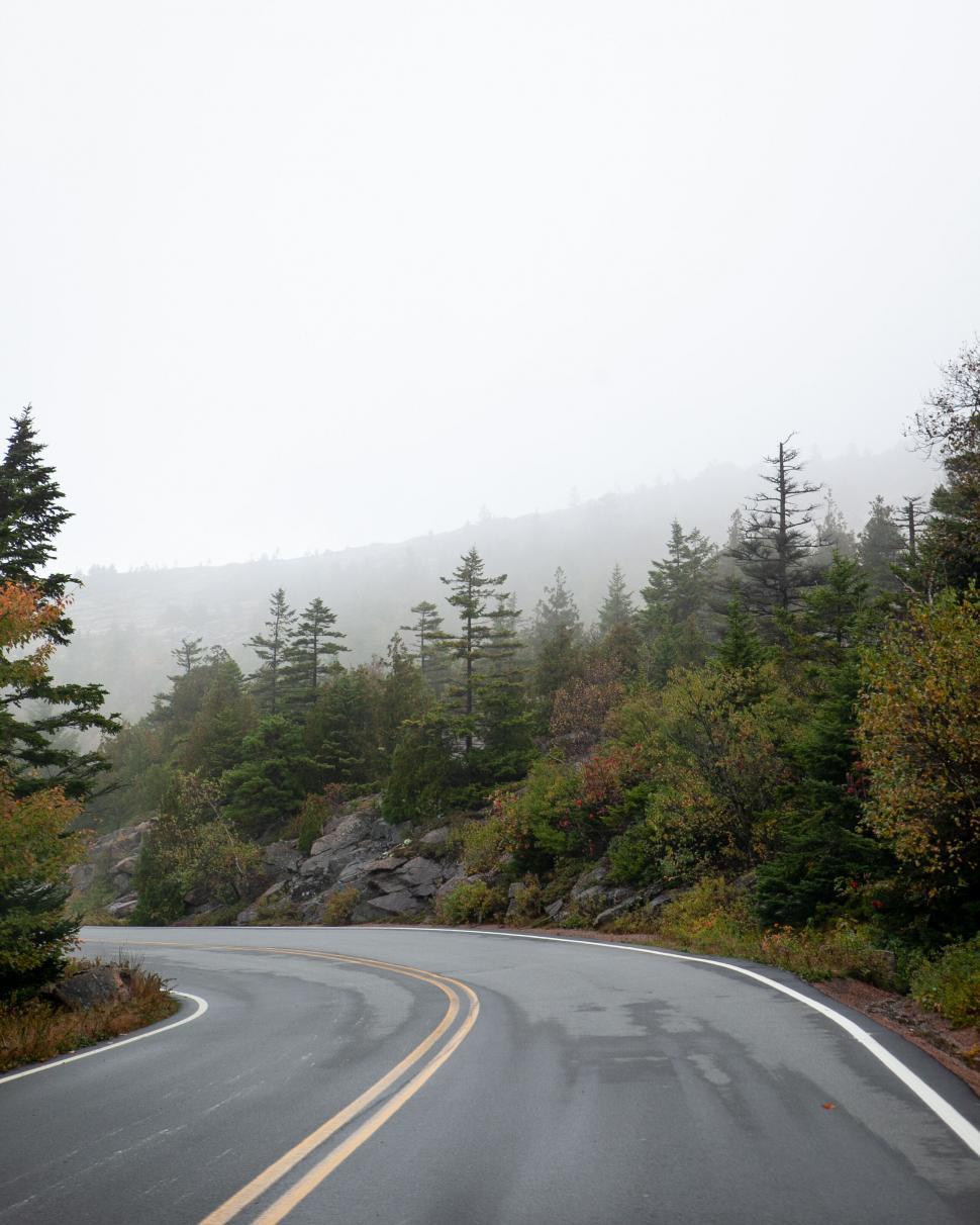 Free Image of Misty mountain road with vibrant autumn colors 