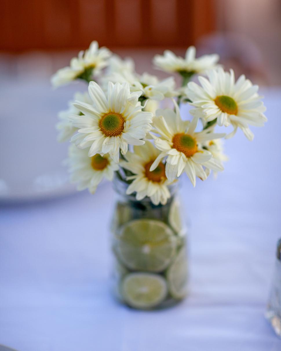 Free Image of Fresh daisies in a vase with lime slices 