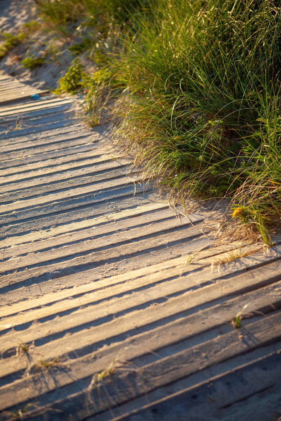 Free Image of Sandy footpath with grass and shadows 
