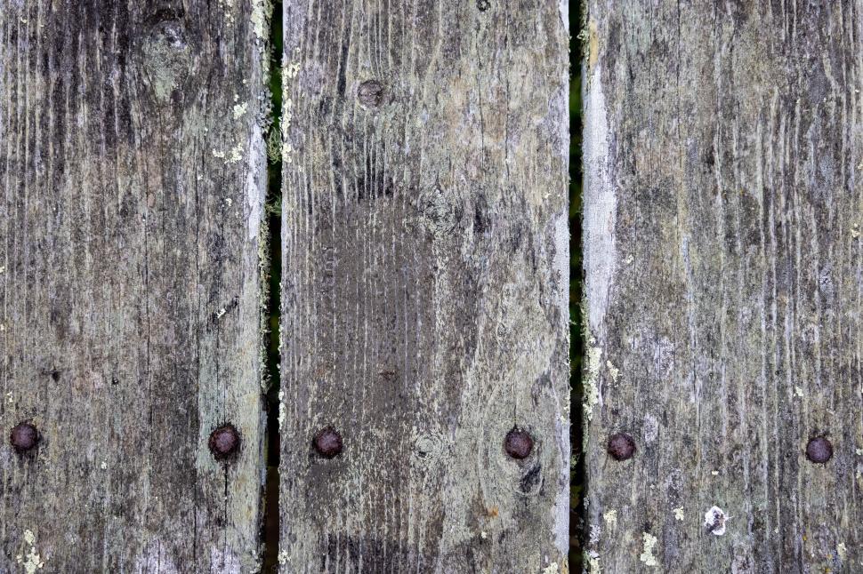 Free Image of Old rustic wooden planks with moss growth 