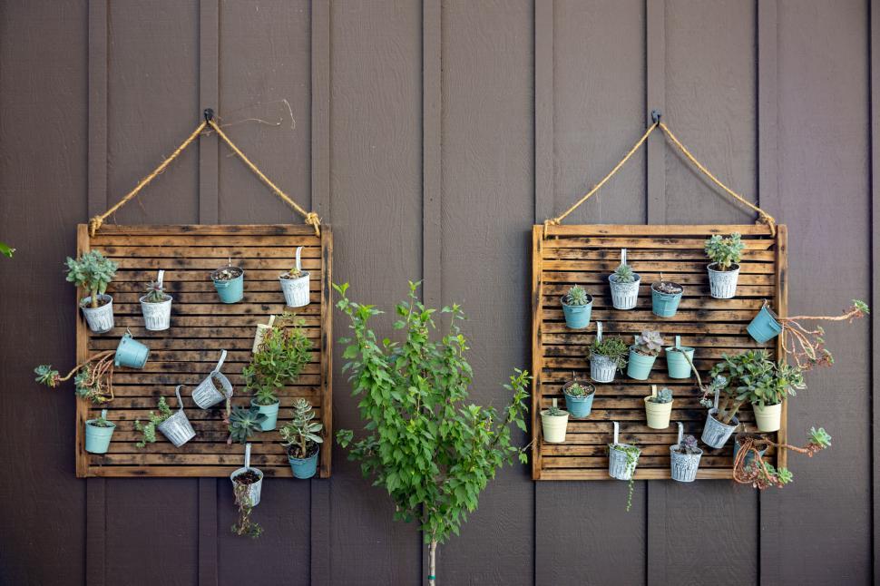 Free Image of Creative vertical garden wall with succulents 