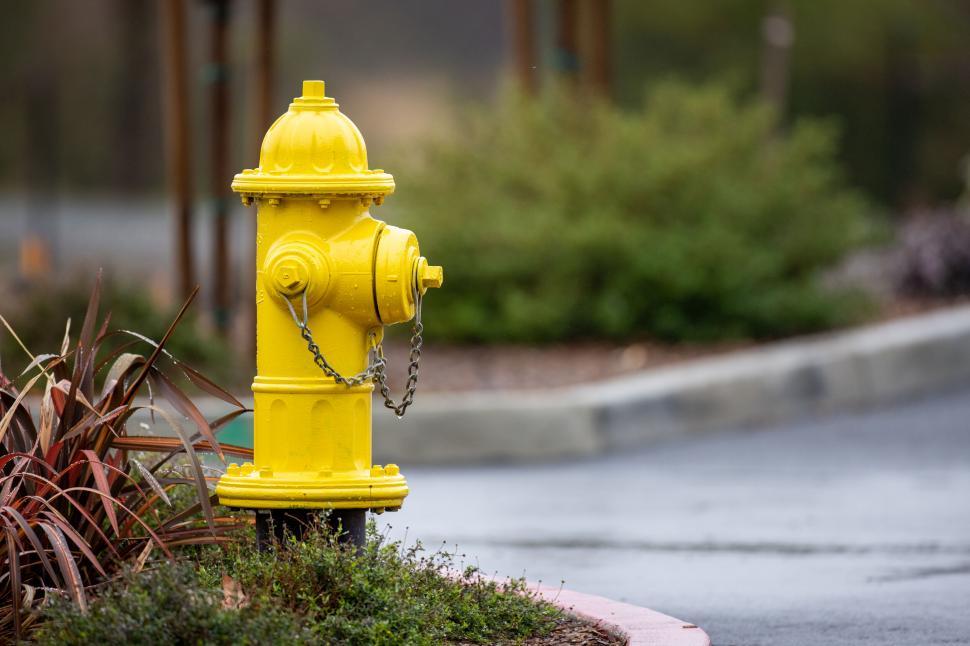 Free Image of Vivid yellow fire hydrant on street side 