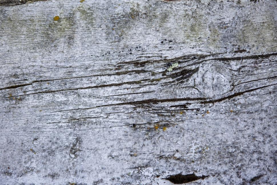 Free Image of Weathered wooden texture with natural detail 