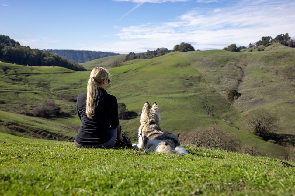 Free Image of Woman and husky looking at green hills 