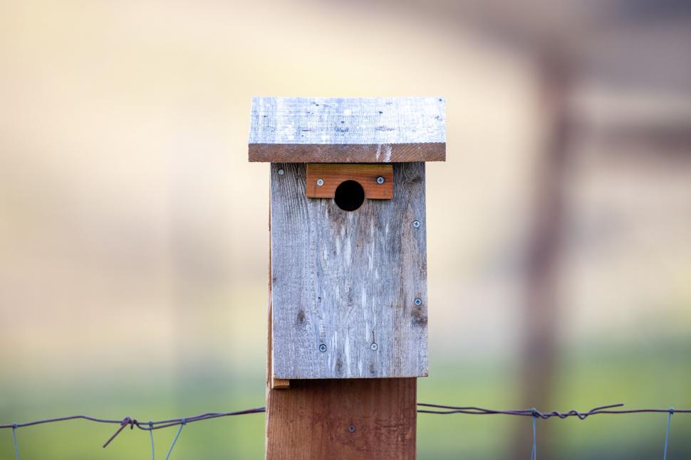 Free Image of Wooden birdhouse on a fence post in soft light 