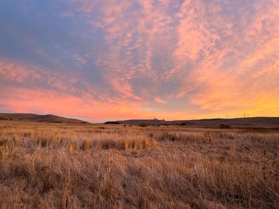 Free Image of Sunset over golden prairie landscape 