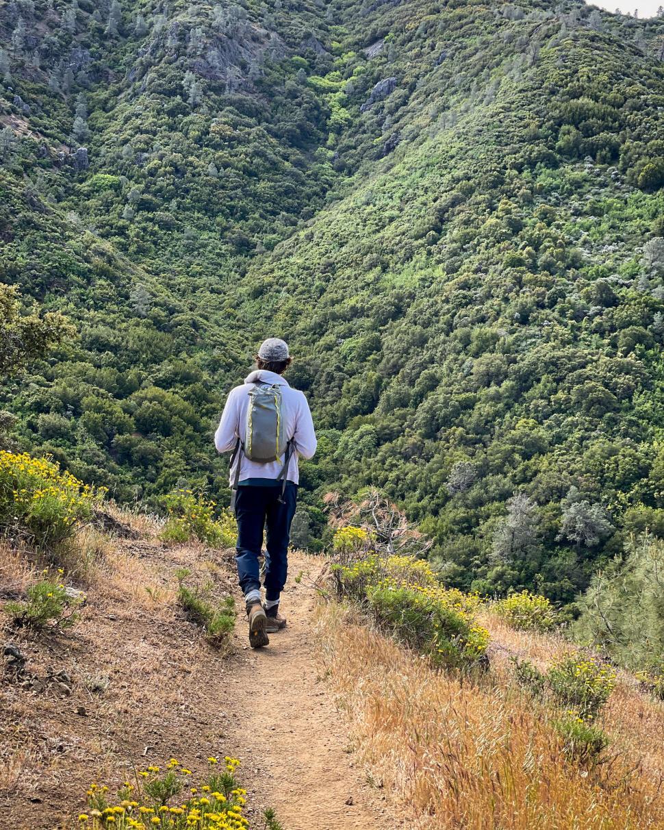 Free Image of Hiker on mountain trail with lush greenery 