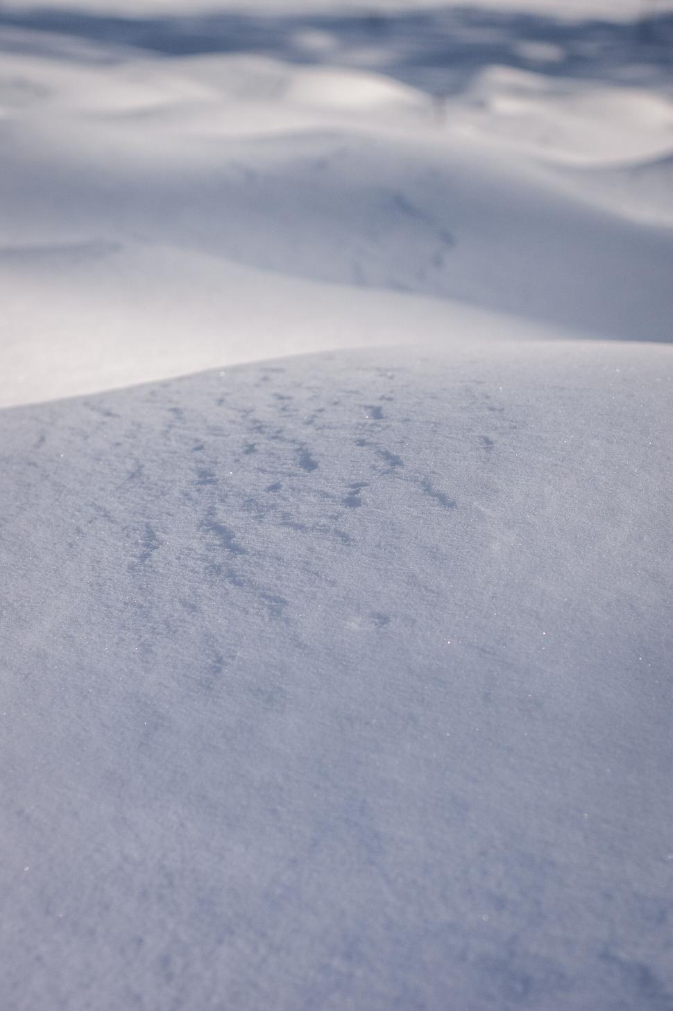 Free Image of Undisturbed snow surface under sunlight 