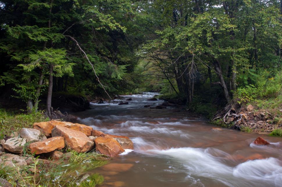 Free Image of Serene forest stream with vibrant orange rocks 