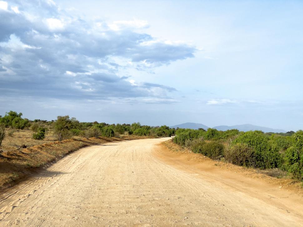 Free Image of Dusty road leading through African savanna 