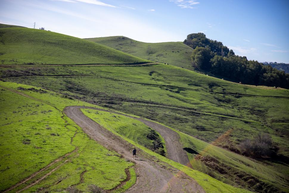 Free Image of Winding trail through green rolling hills 