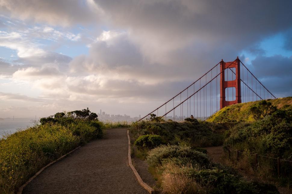 Free Image of Golden Gate Bridge seen from a flower-lined path 